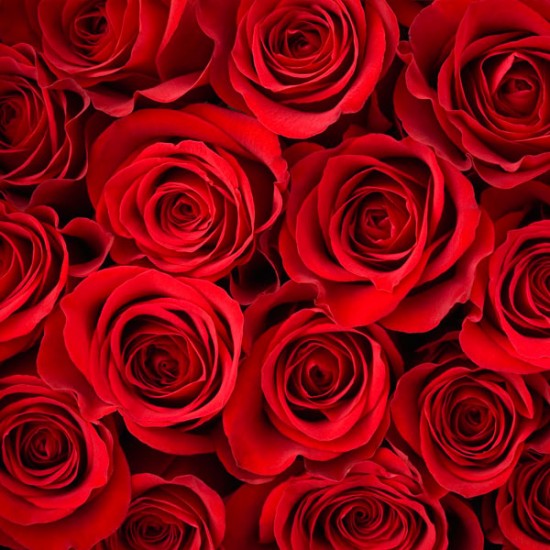 One Dozen Red Roses Bouquet with Vase